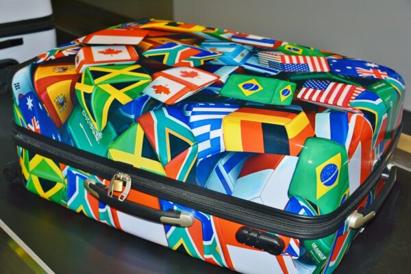luggage, travel accessories