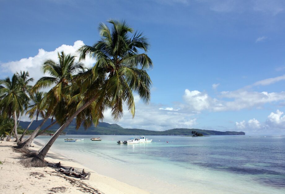 Lush palm trees on a sunny beach with a distant boat, showcasing a restorative 2026 travel escape for stress-free holiday planning. www.traveleasyworld.com
