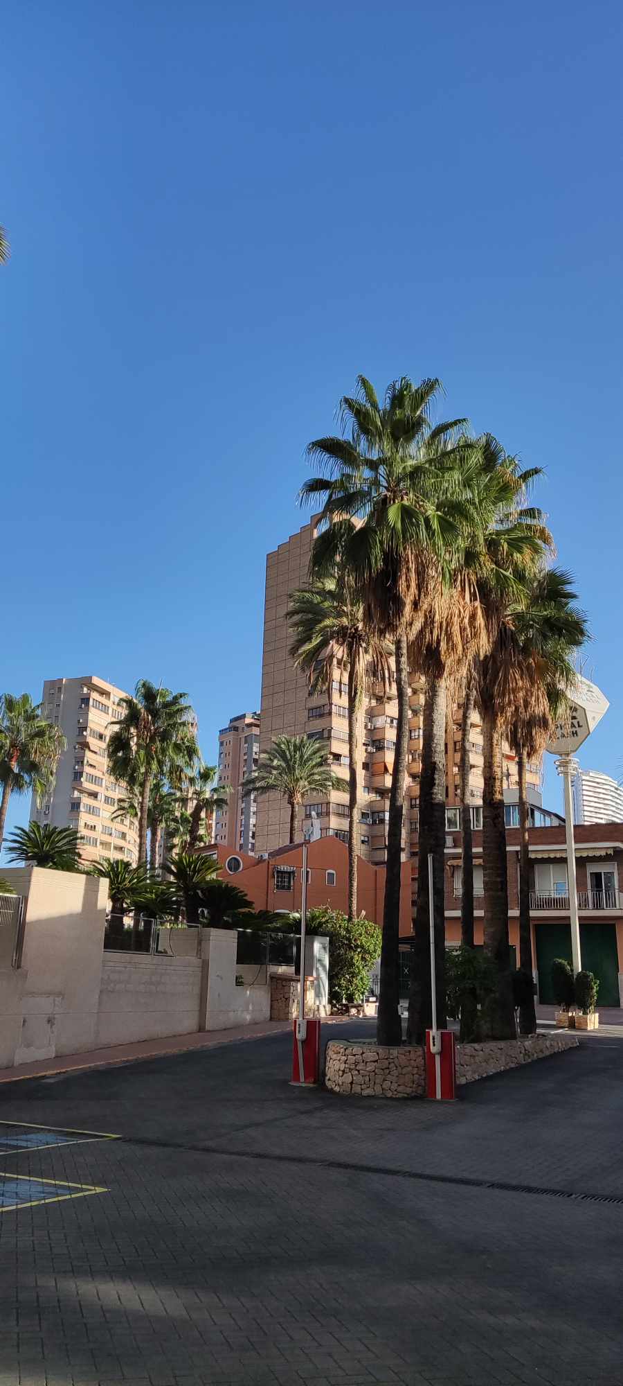 Benidorm hotels, palms