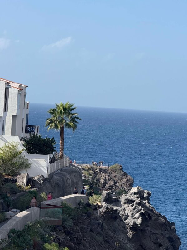 Tenerife Travel Guide, sea, palm, building