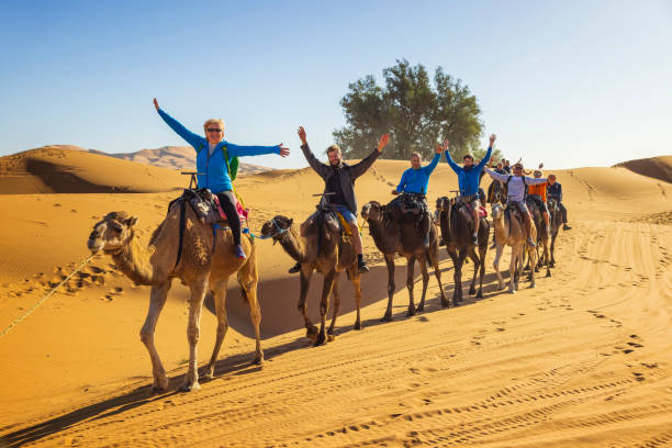 camels in africa, trip