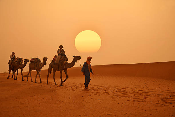 Camel Trekking Experience