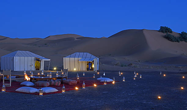 sahara desert tours at night