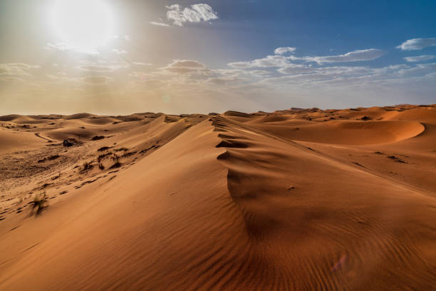 Sahara desert tours