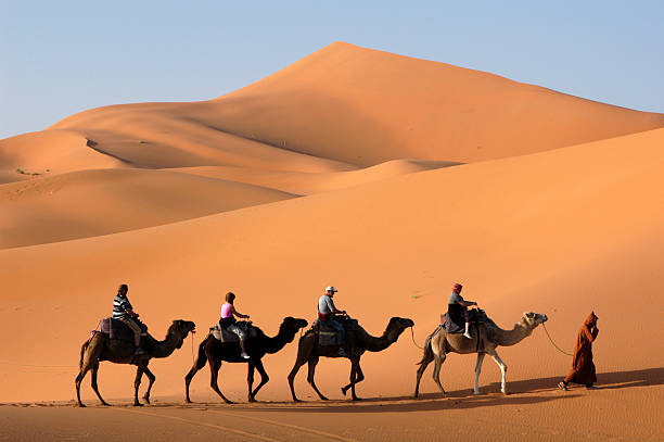 sahara desert tours