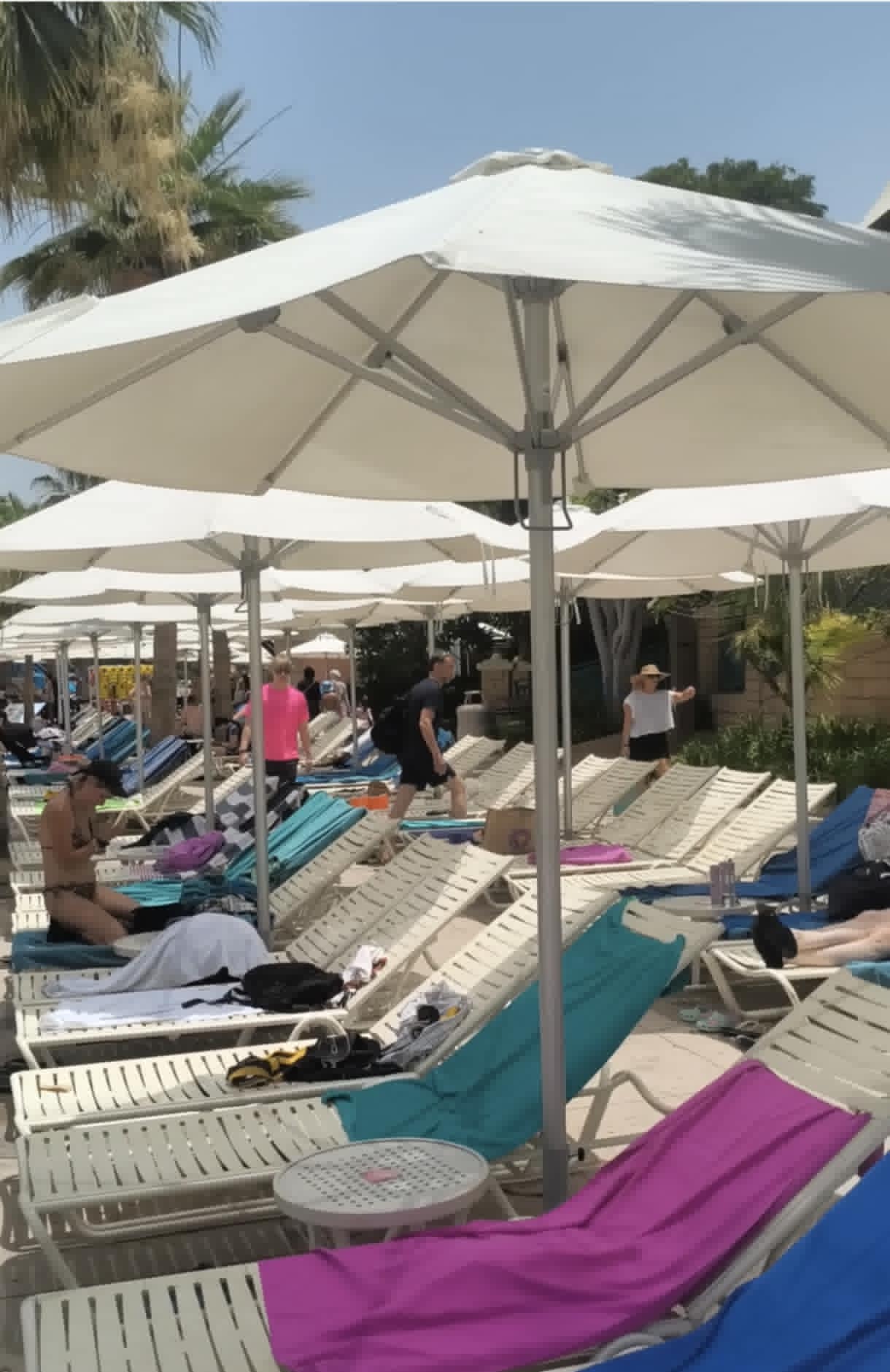 Row of sunbeds under umbrellas at Aquaventure Waterpark Dubai, offering a relaxing spot for families near the splash zones.