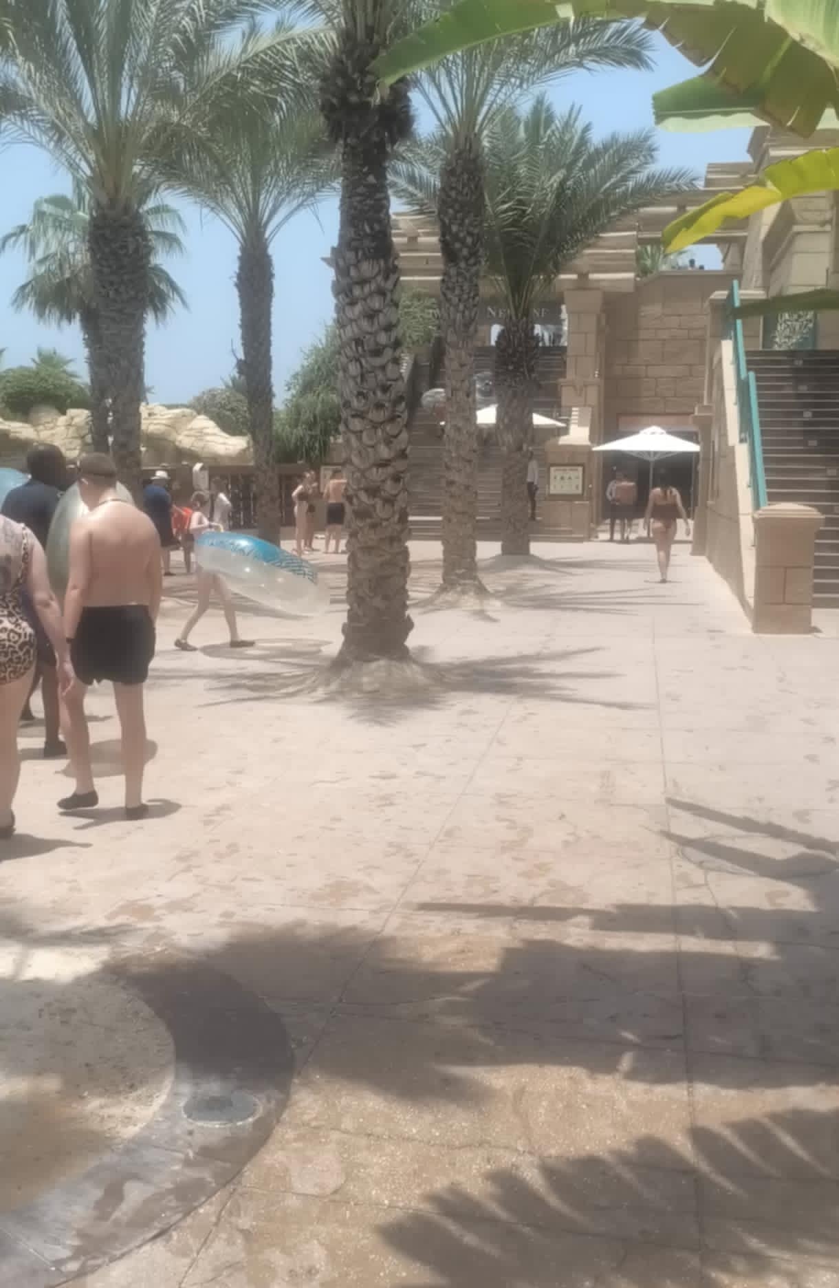 Scenic view of a winding pathway surrounded by palm trees and water slides at Aquaventure Waterpark Dubai.