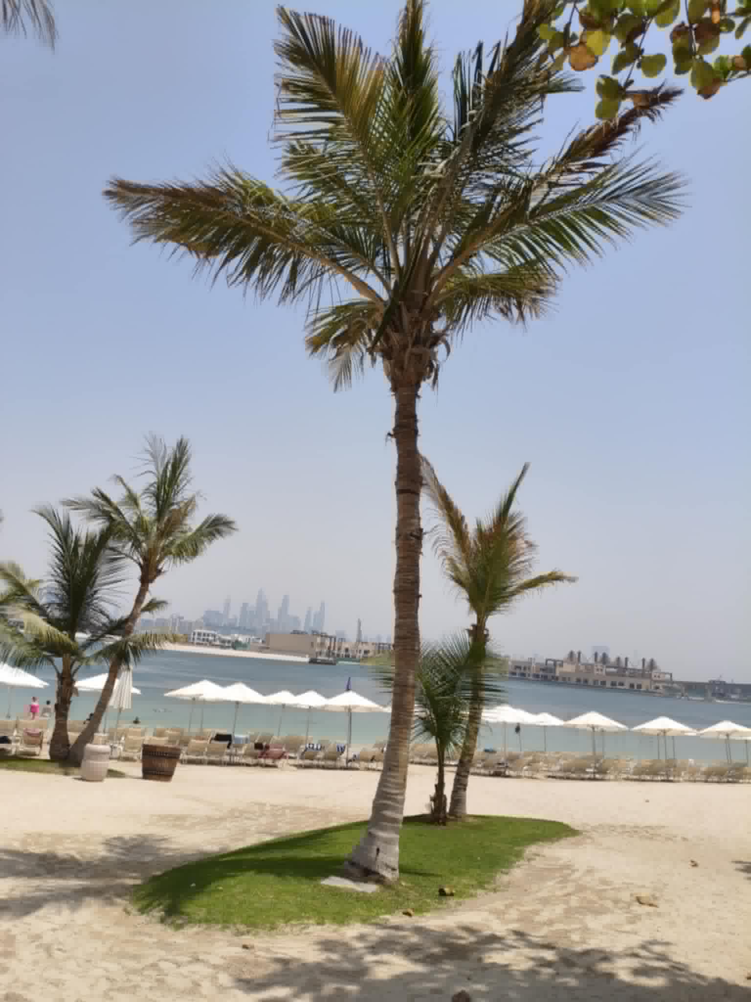 Scenic beach at Aquaventure Waterpark Dubai with white sand, palm trees.