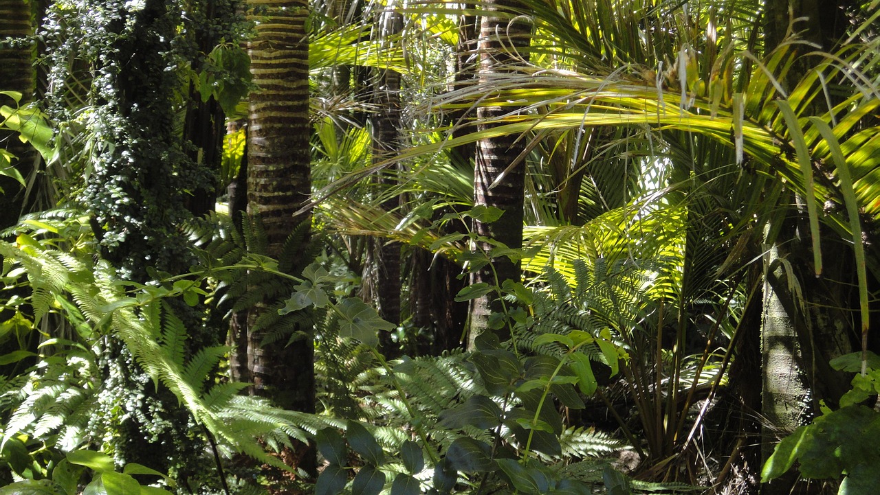 The Green Planet – An Indoor Tropical Rainforest