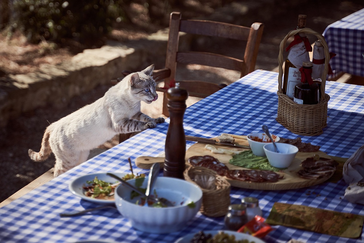 Ultimate Corfu Travel Guide - food