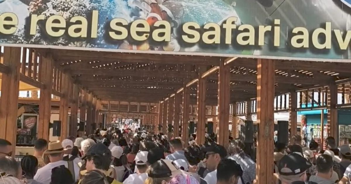 A large group of tourists gathering under a wooden pergola at the Real Sea Safari adventure entrance for a Ras Mohammed boat tour, Travel Easy World