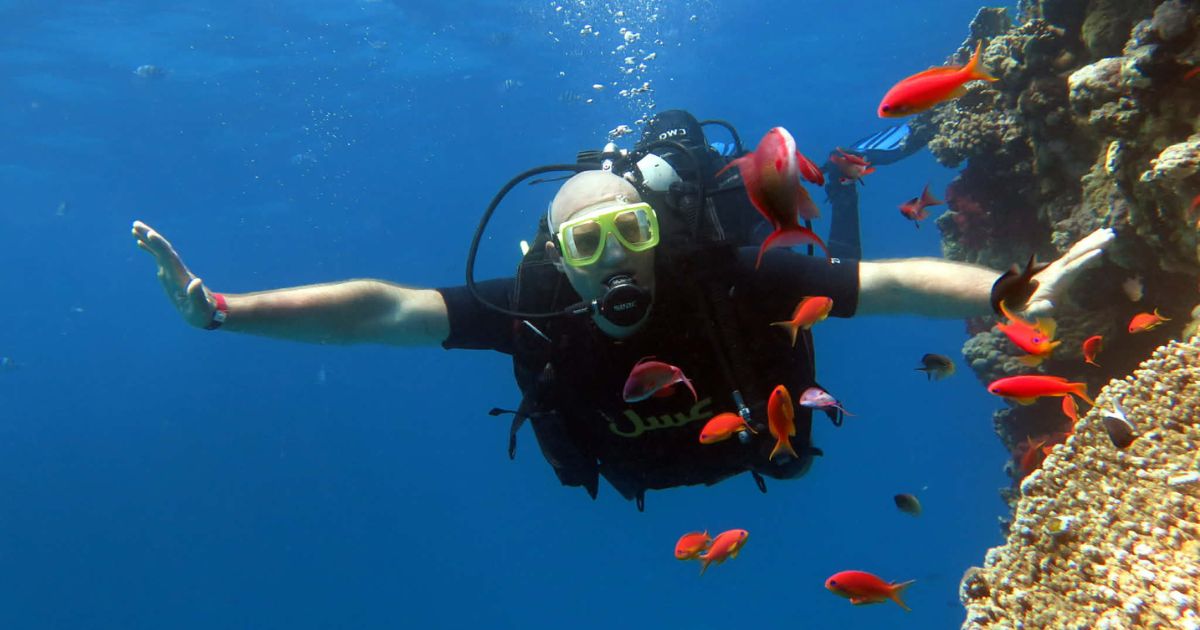 Scuba diver exploring colourful coral reefs and tropical fish at Ras Mohammed National Park near Sharm El Sheikh, Egypt, Travel Easy World