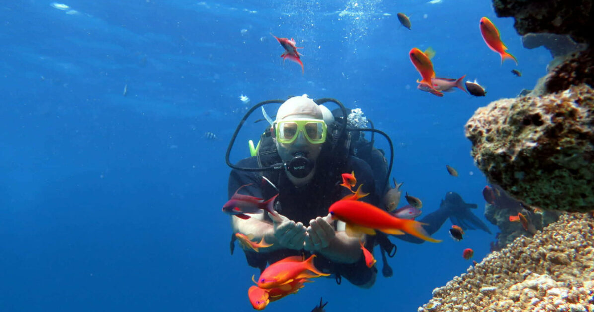 A scuba diver underwater surrounded by a school of bright orange Anthias fish and vibrant coral reefs in the Red Sea. Travel Easy World