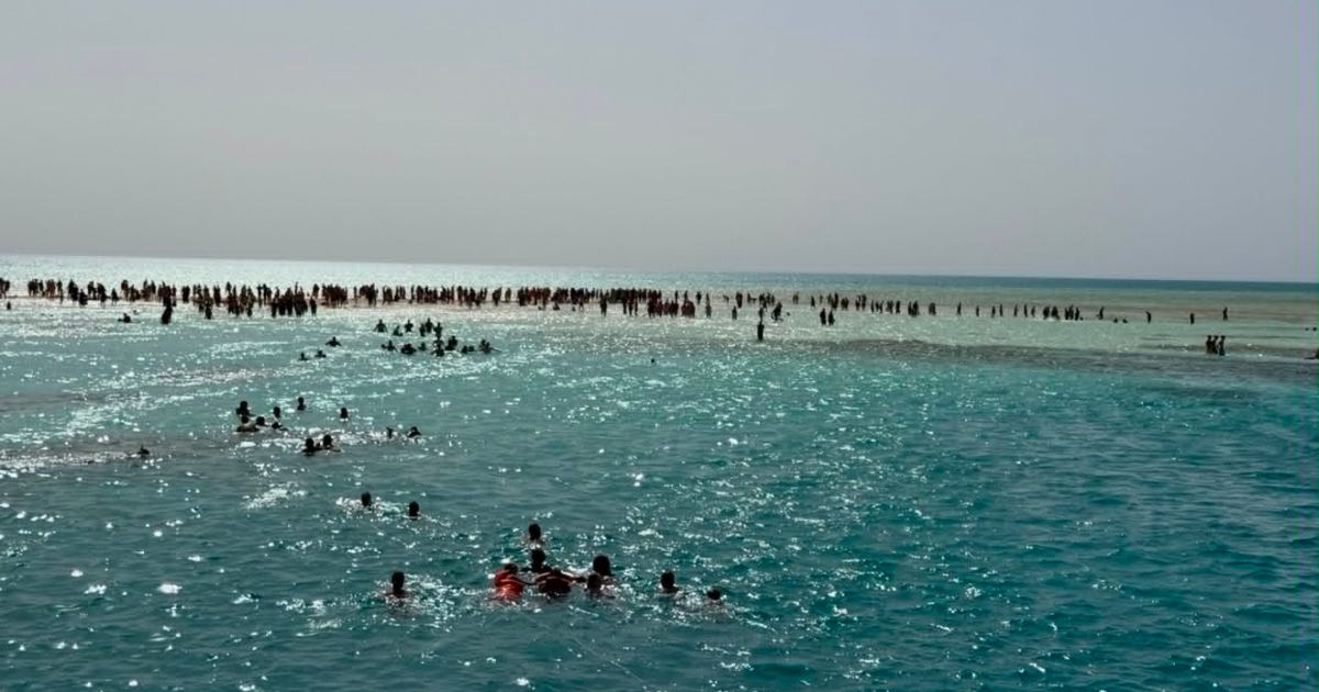 Aerial-style view of tourists swimming and walking on the White Island sandbar in Ras Mohammed National Park, Egypt.